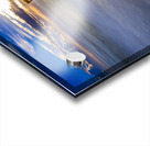 St Augustine Pier Acrylic print