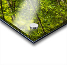 Store Alaska5L3A8325 Acrylic print