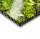 Store Alaska5L3A8248 Acrylic print