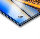 Store Florida 5L3A9287 Acrylic print