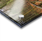 Store Georgia 5L3A5708 Acrylic print