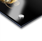 Store Macro 5L3A2811 Acrylic print