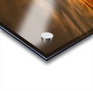 Sunset 13 Acrylic print