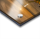 Sunset 4 Acrylic print