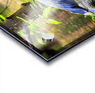 Store Vancouver 5L3A6854 Acrylic print