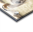 Store Key Biscayne AE2A9016 Acrylic print