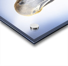 Store Dania Beach AE2A8738 Acrylic print