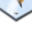 Store Dania Beach AE2A8779 Acrylic print