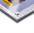 Store FLLAirShow AE2A2796 Acrylic print