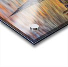 Belgium E2A9393 Acrylic print