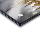 Belgium E2A8721 Acrylic print