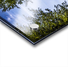 Holland E2A0158 Acrylic print