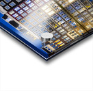 Holland E2A0358 Acrylic print