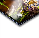 Wildlife 8 Acrylic print