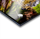 Wildlife 10 Acrylic print