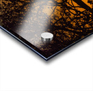 Vista View MG 7315 Acrylic print