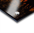 Vista View MG 7321 Acrylic print