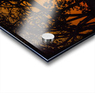 Vista View MG 7311 Acrylic print