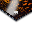 Vista View MG 7317 Acrylic print