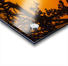 Vista View MG 7320 Acrylic print