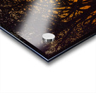 Vista View MG 7313 Acrylic print