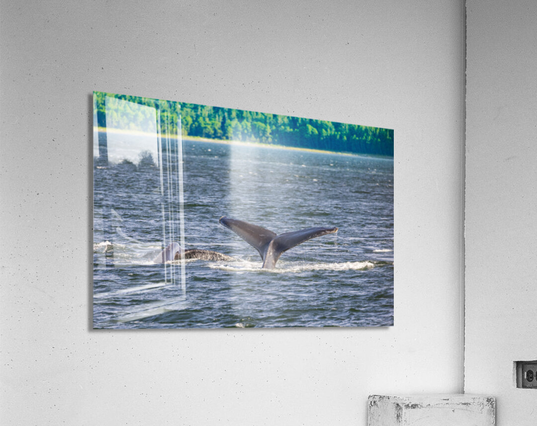 Store Alaska5L3A7728 Acrylic Print