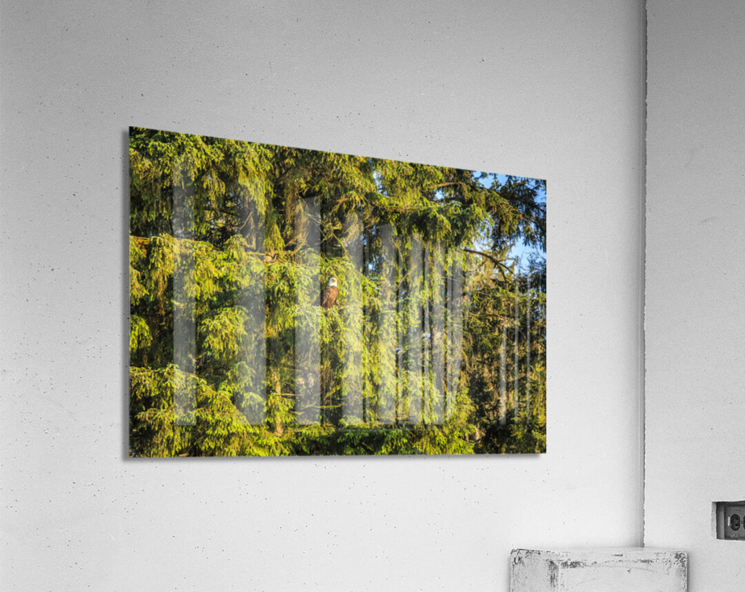 Store Alaska5L3A7987 Acrylic Print