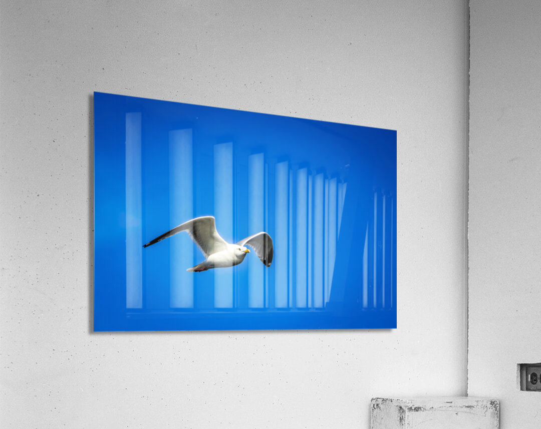 Store Alaska5L3A7673 Acrylic Print