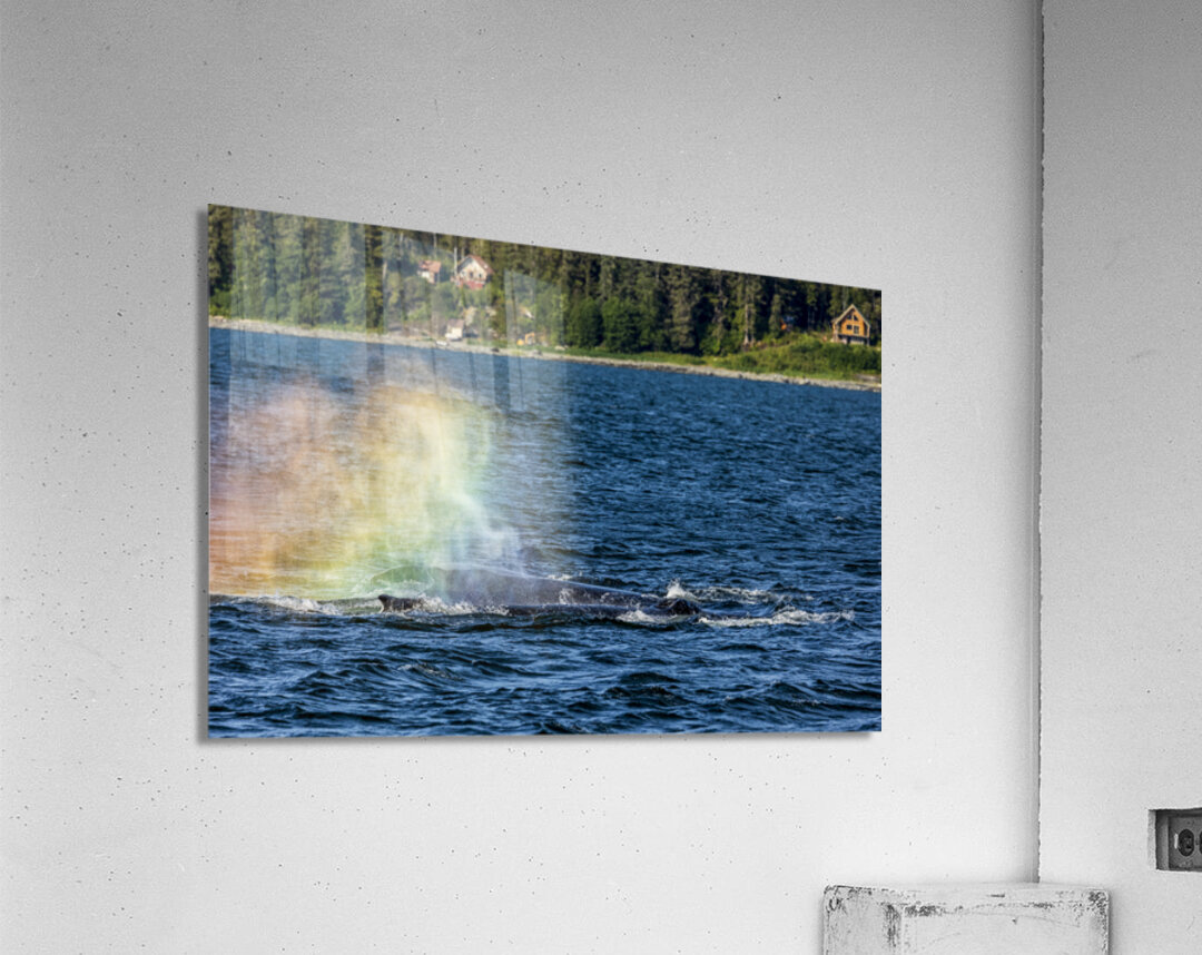 Store Alaska5L3A7628 Acrylic Print