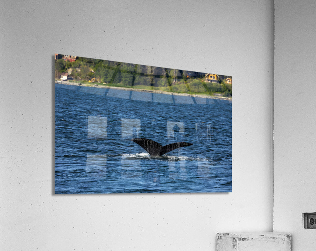 Store Alaska5L3A7652 Acrylic Print