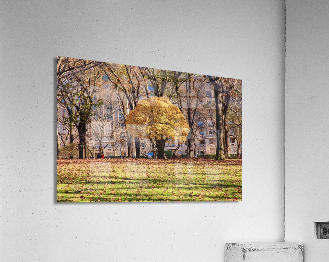 Store New York DSC 4114 Acrylic Print