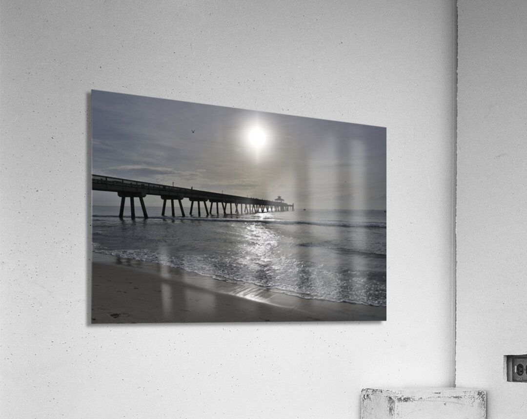 Store Florida 5L3A6591 Acrylic Print