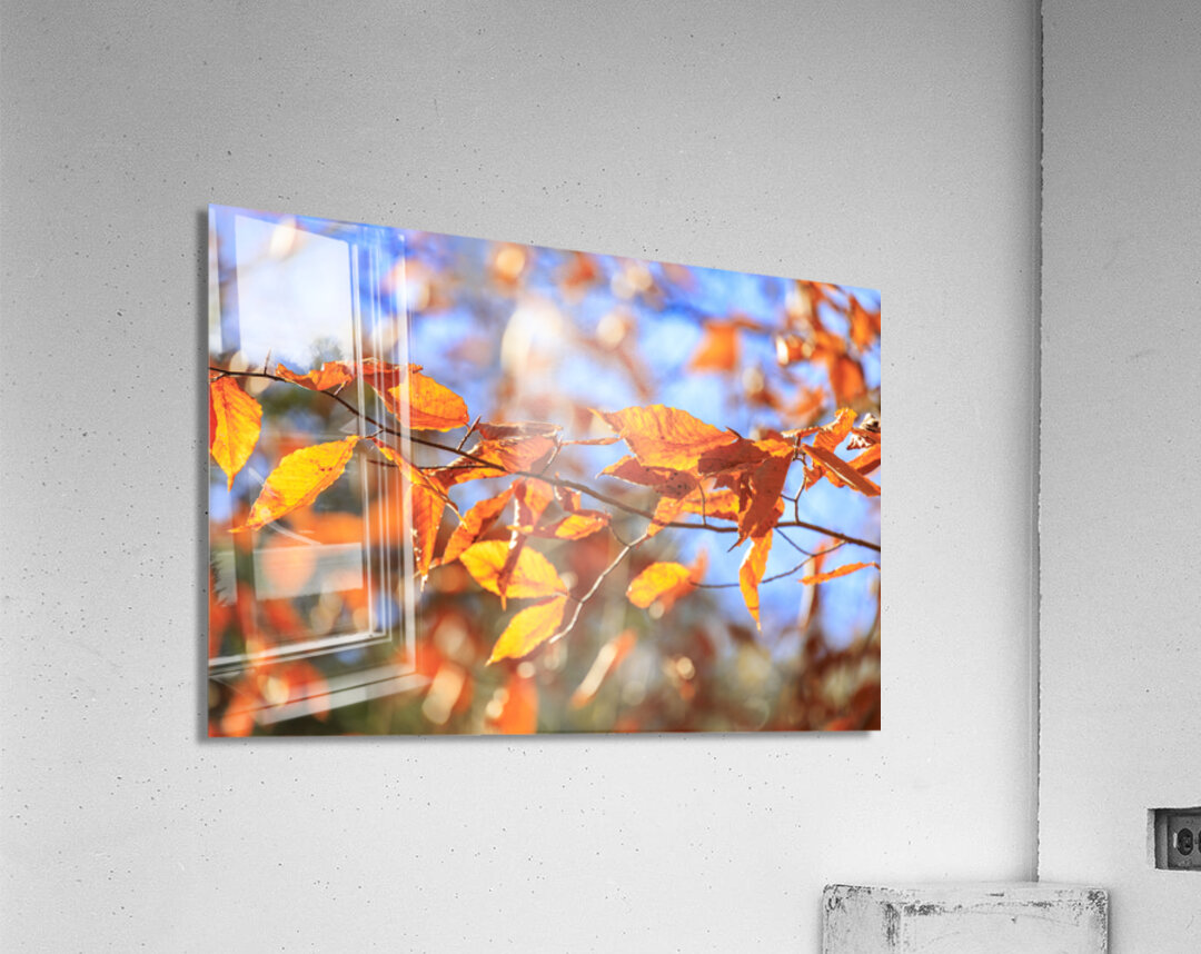 Store Georgia 5L3A0068 Acrylic Print