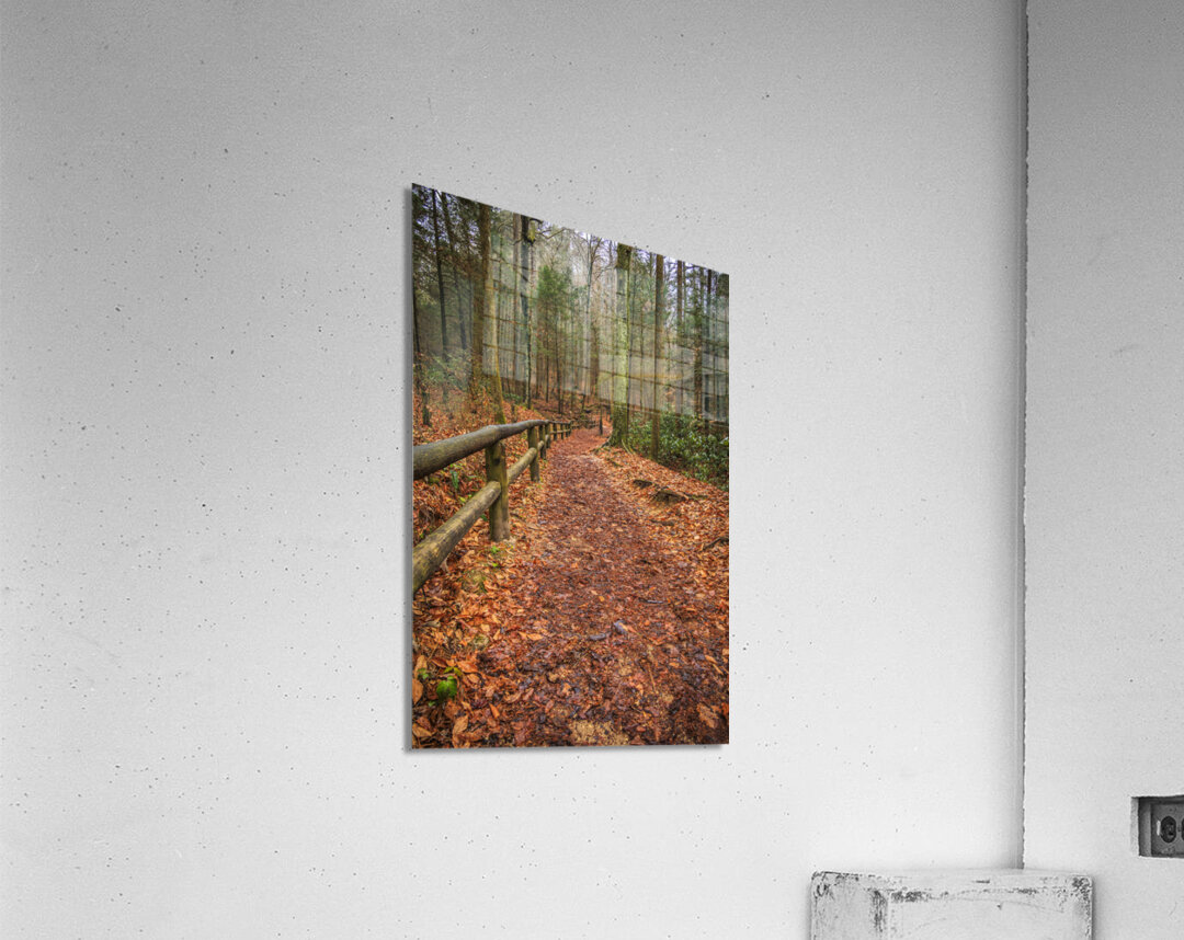 Store Georgia 5L3A5708 Acrylic Print