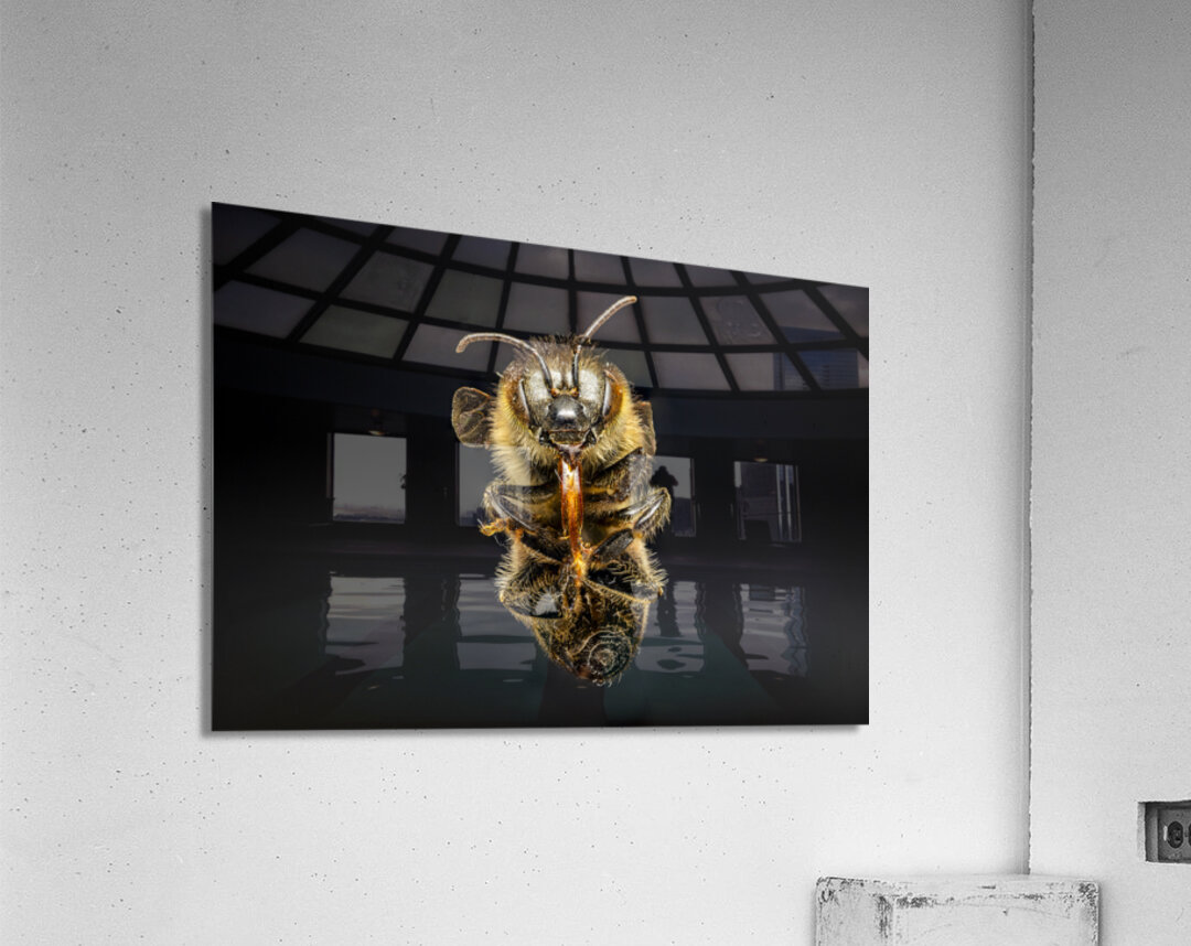 Store Macro 5L3A2811 Acrylic Print