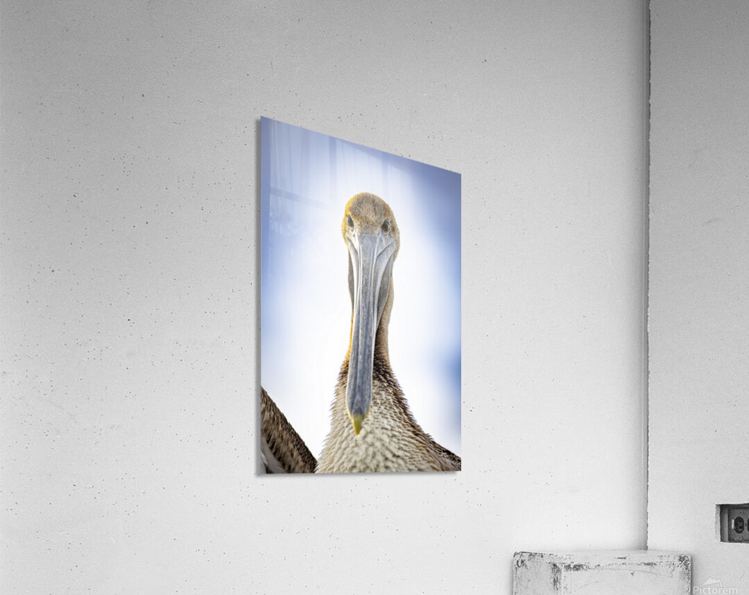 Store Dania Beach AE2A8738 Acrylic Print