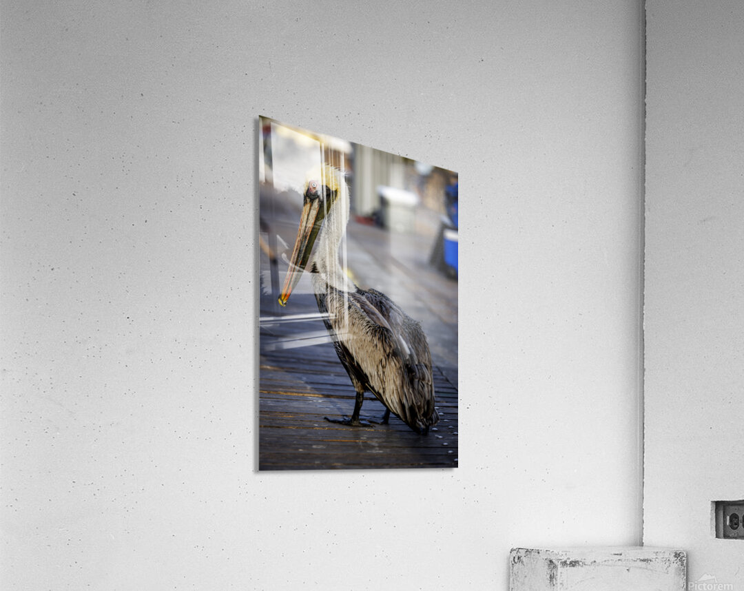 Store Dania Beach AE2A8718 Acrylic Print