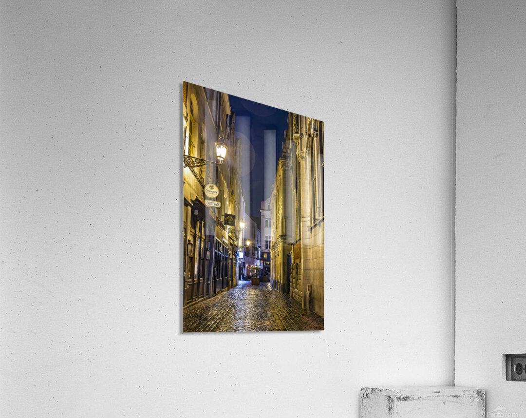 Belgium E2A9174 Acrylic Print