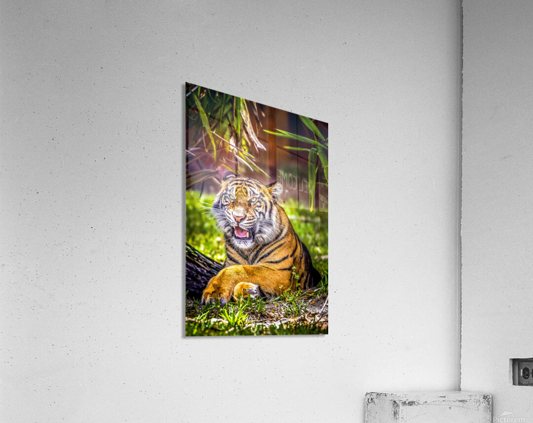 Wildlife 8 Acrylic Print