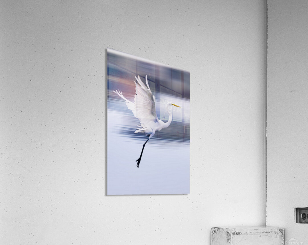 Wildlife 1 Acrylic Print