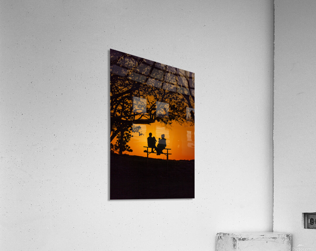 Vista View MG 7315 Acrylic Print