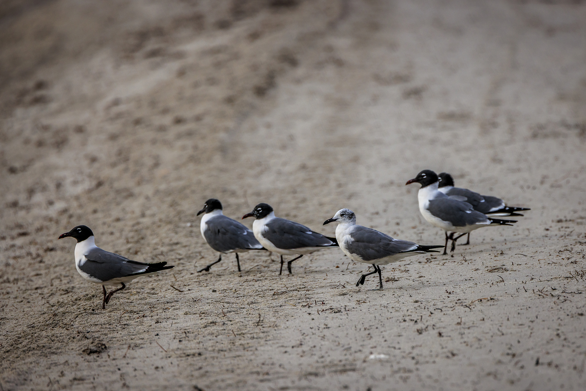Impression de cadre personnalisé