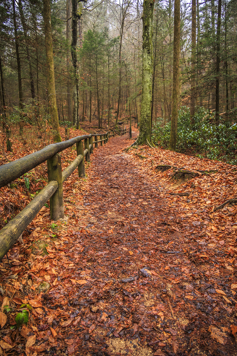 Impression de cadre personnalisé