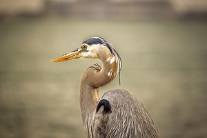 Store Key Biscayne AE2A9010