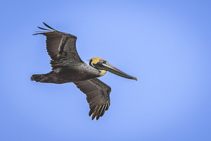 Store Dania Beach AE2A8905