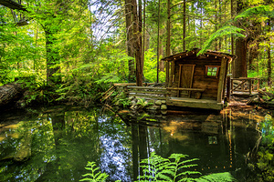 Store Vancouver 5L3A6820