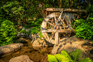 Store Vancouver 5L3A6951