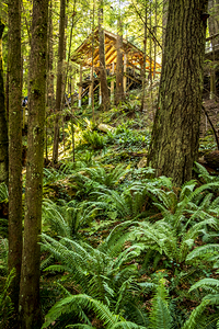 Store Vancouver 5L3A6895