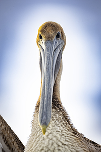 Store Dania Beach AE2A8738