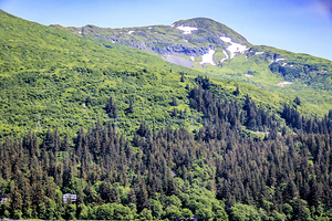 Store Alaska5L3A7439